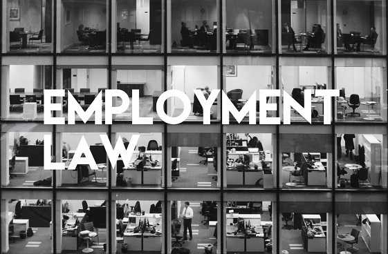 Employment Solicitors Legal Advice Tips Employment Solicitors Legal Advice Tips